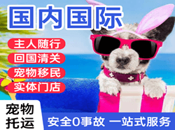 德宏芒市机场快运国际宠物托运 【国